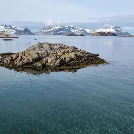 Modern By The Sea In Henningsvær