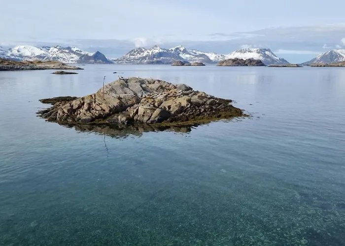 Modern By The Sea In Henningsvær